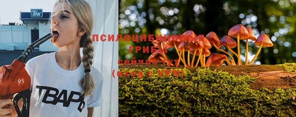 индика Лагань