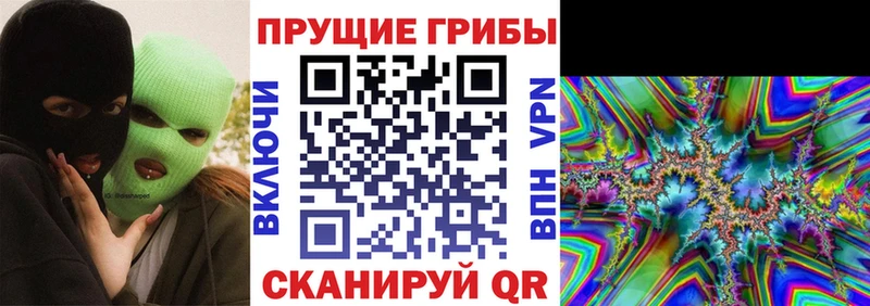 Галлюциногенные грибы GOLDEN TEACHER  Купить где  Зеленодольск 